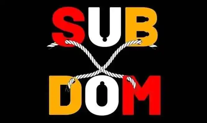 【西檬之家】字母圈新人如何入圈？BDSM入门必读指南