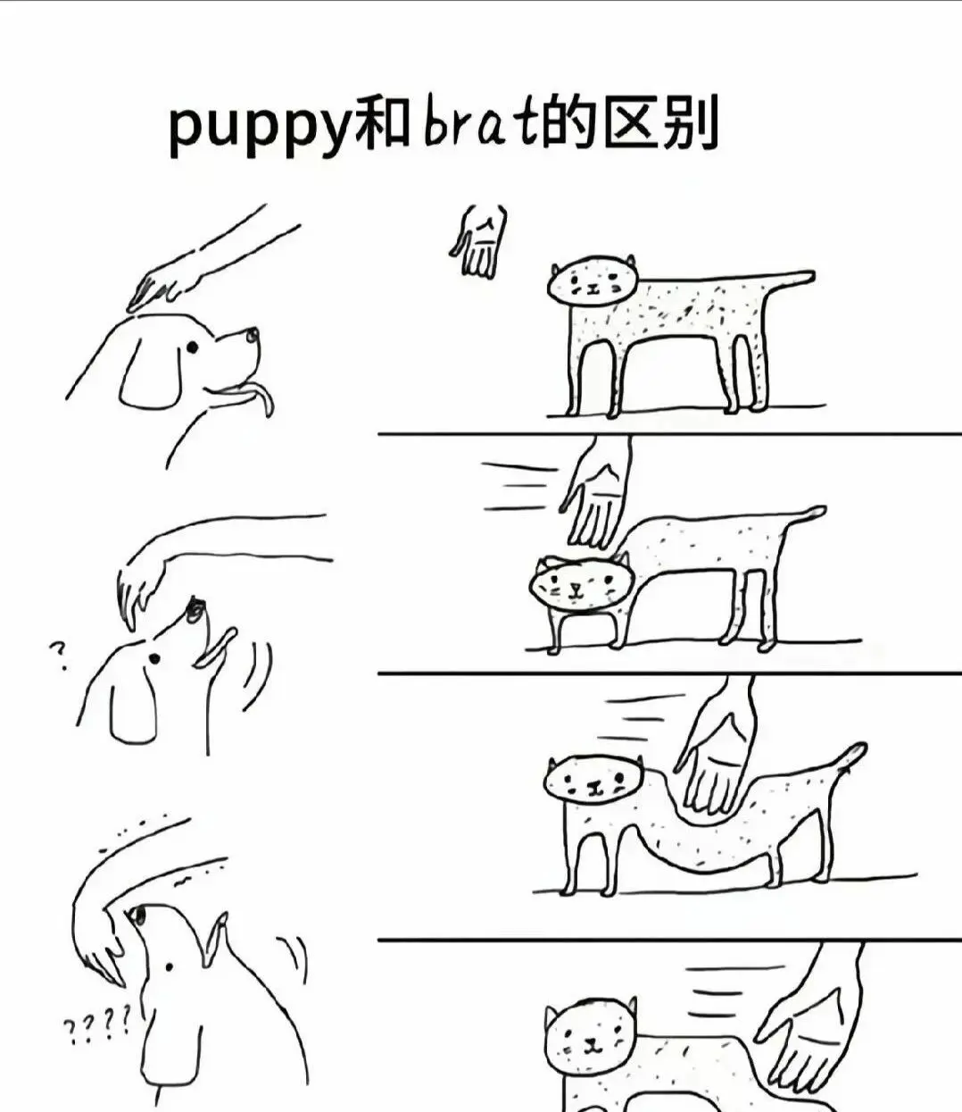 【西檬之家】BDSM新手必读：核心术语与安全原则入门指南