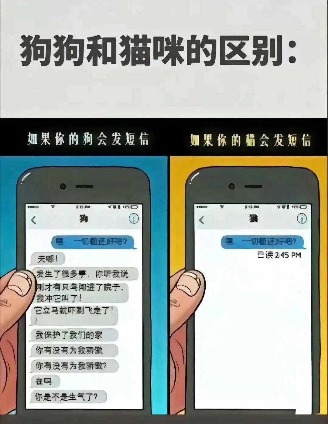 西檬之家-字母圈新人入圈指南：从基础术语到实践安全