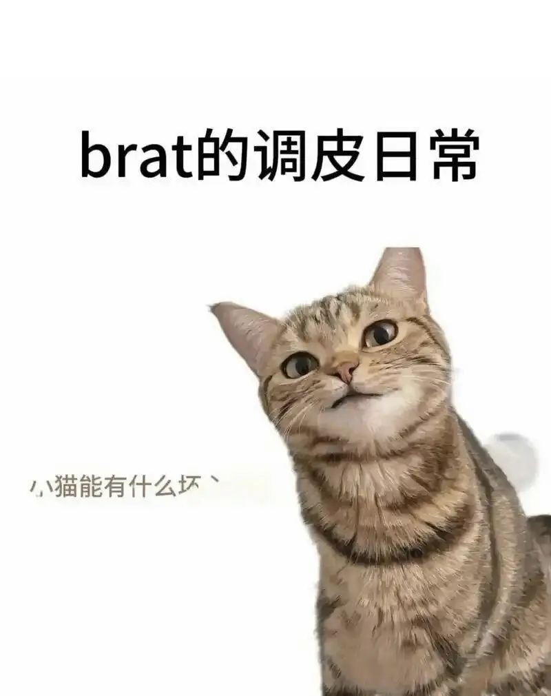 西檬之家-斯慕圈权威指南：了解BDSM的核心与安全实践