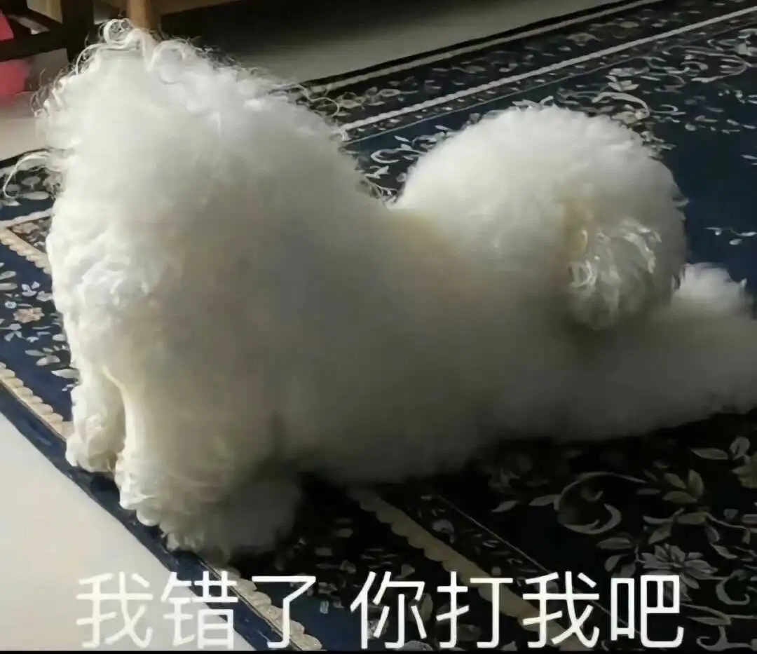 【西檬之家】Sub是什么？字母圈新人必须了解的臣服者角色