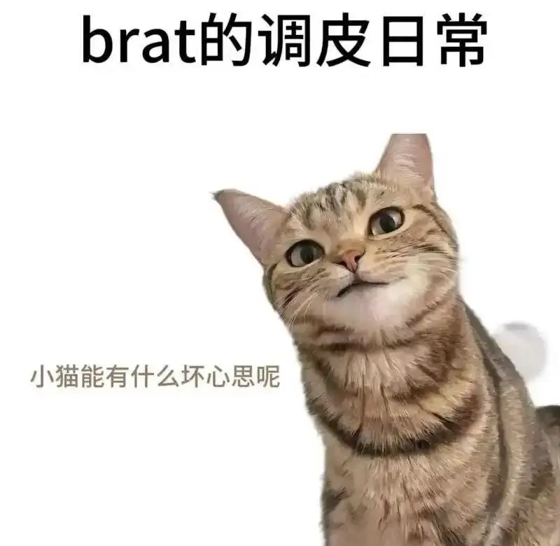 【西檬之家】字母圈新人必读：以同意为基础的BDSM文化指南