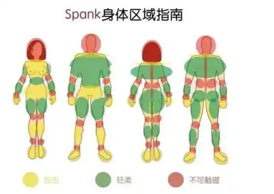 【西檬之家】字母圈新人入圈指南，了解核心角色与术语