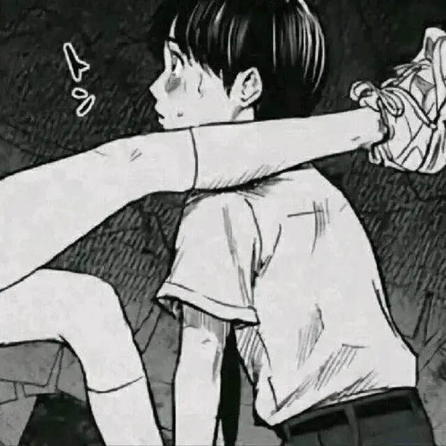 S：实用指南
