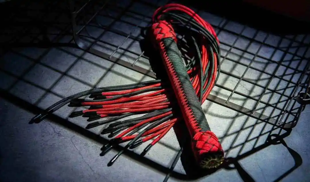 【西檬之家】字母圈的DOM是什么意思？