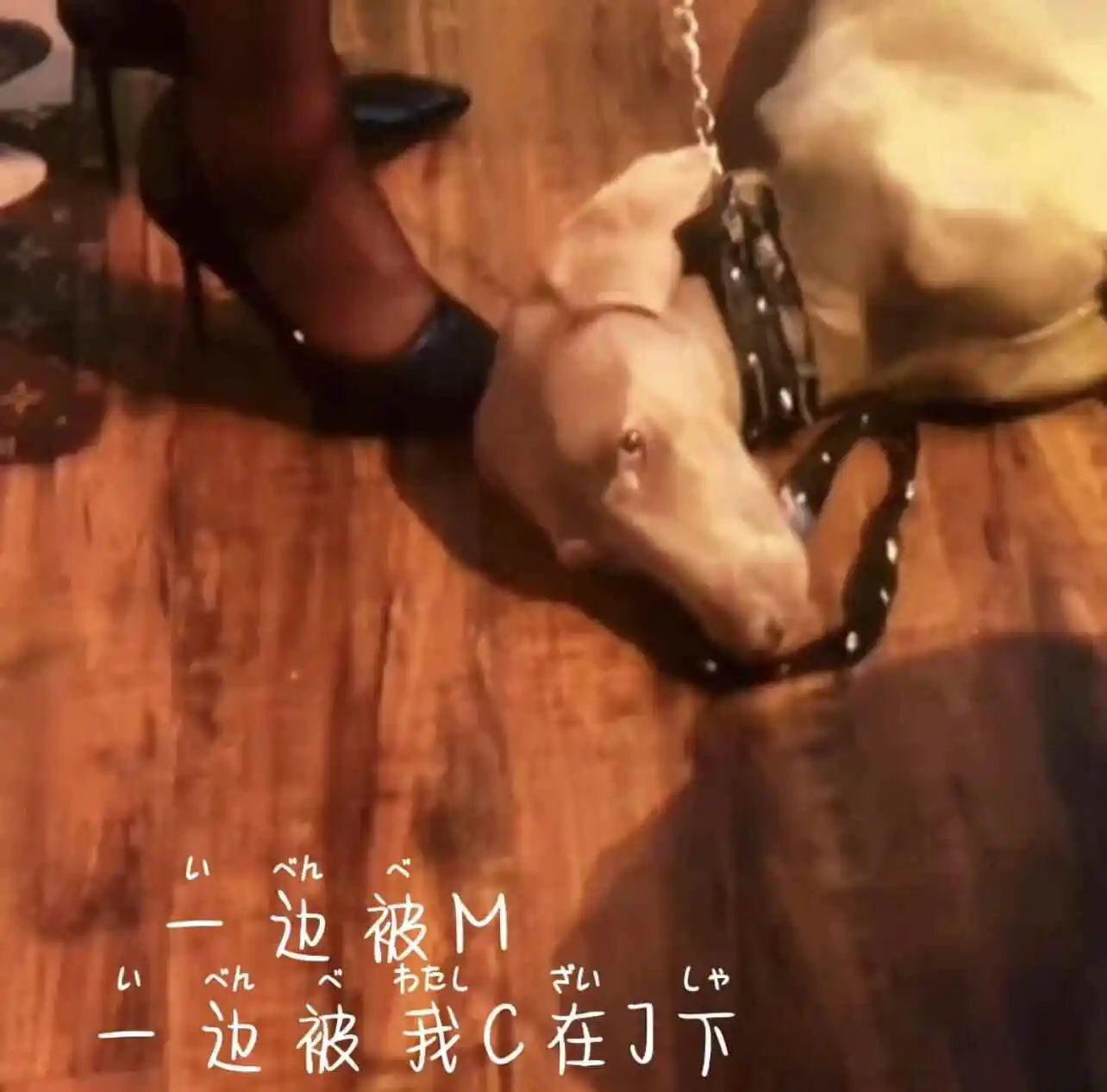 西檬之家-BDSM入圈：新手必读的安全指南与术语解析